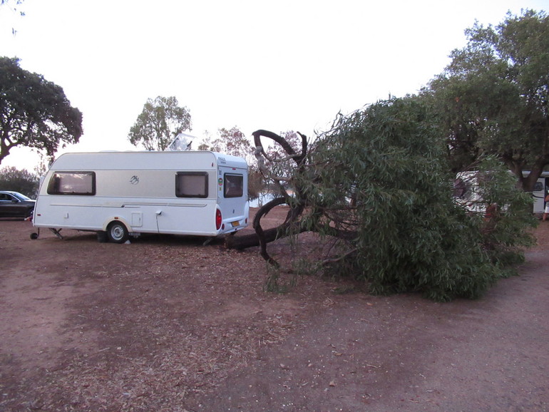 Op de camping valt 'onze' boom spontaan om
